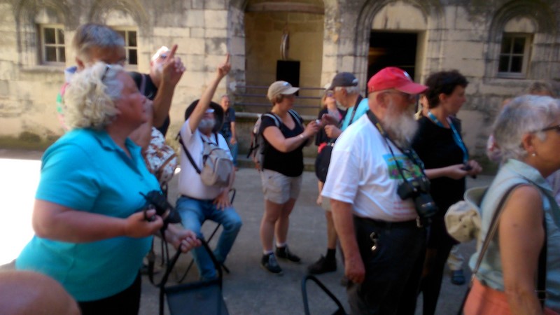 DSC_0141 (Copier).jpg