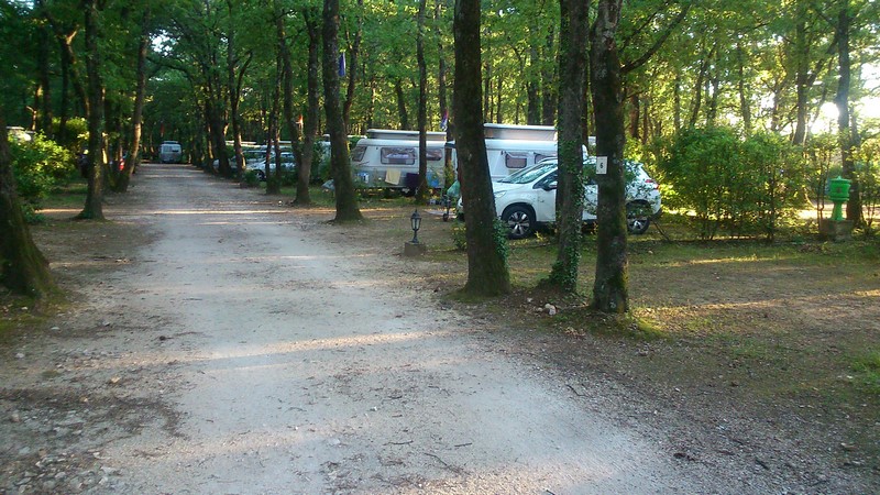 Le CHEF ? au bout de l'allée, droit devant ! !
