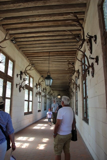 salle des trophées de chasses <br />et le vieux trophée avec la sacoche Adidas ,c'est moi :mdr1