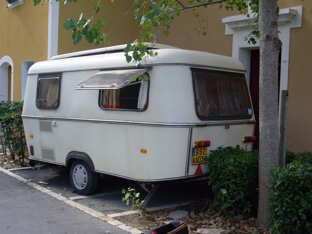 SL371205 (Large).JPG