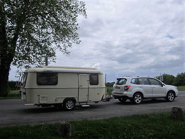 IMG_3796.JPG