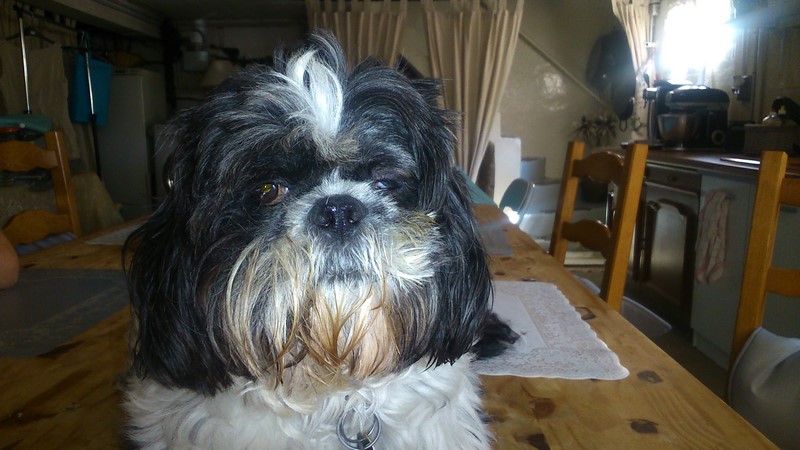 DSC_0212 (Copier).jpg