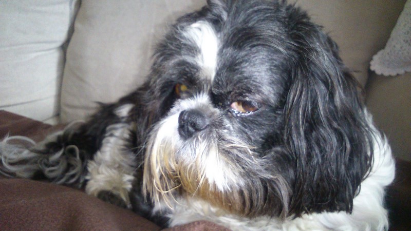 Aujourd’hui avec un peu de pommade dans le coin de l’œil.