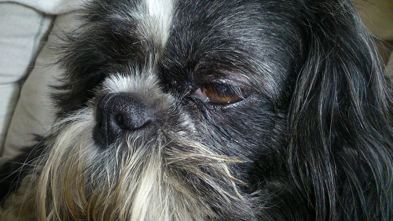 Toujours aujourd'hui le 02/07/2017