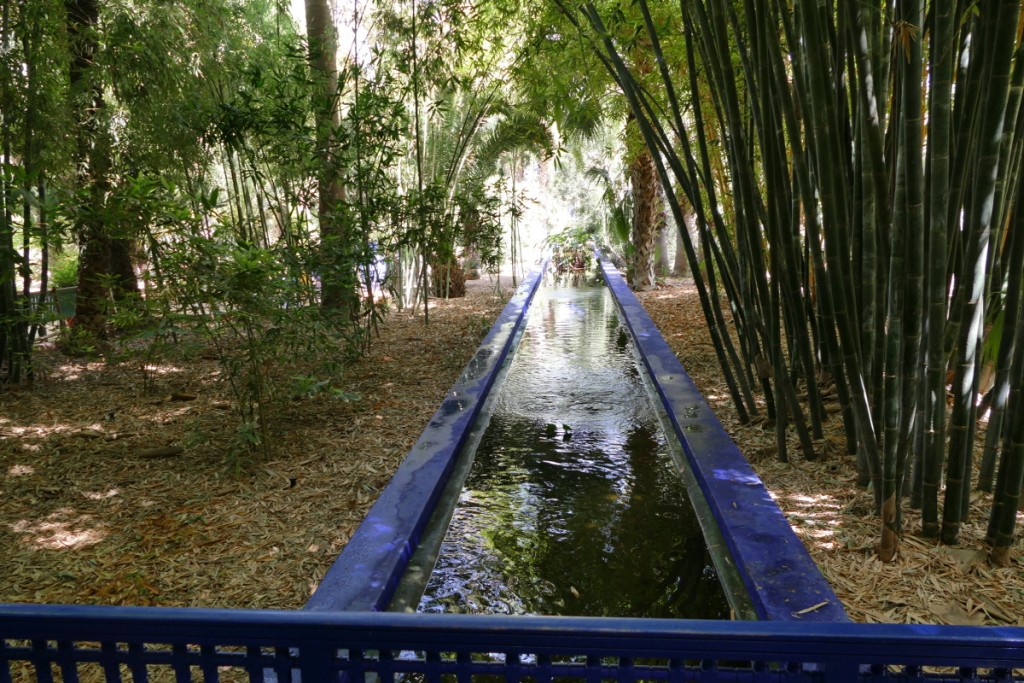 jardin majorel.JPG