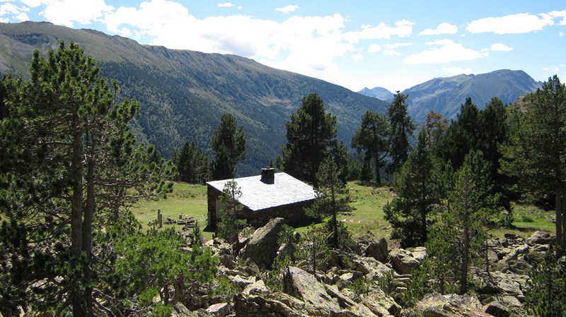 Pyrénées.jpg