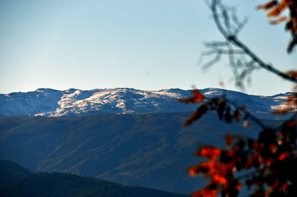 DSC_0418_R.jpg