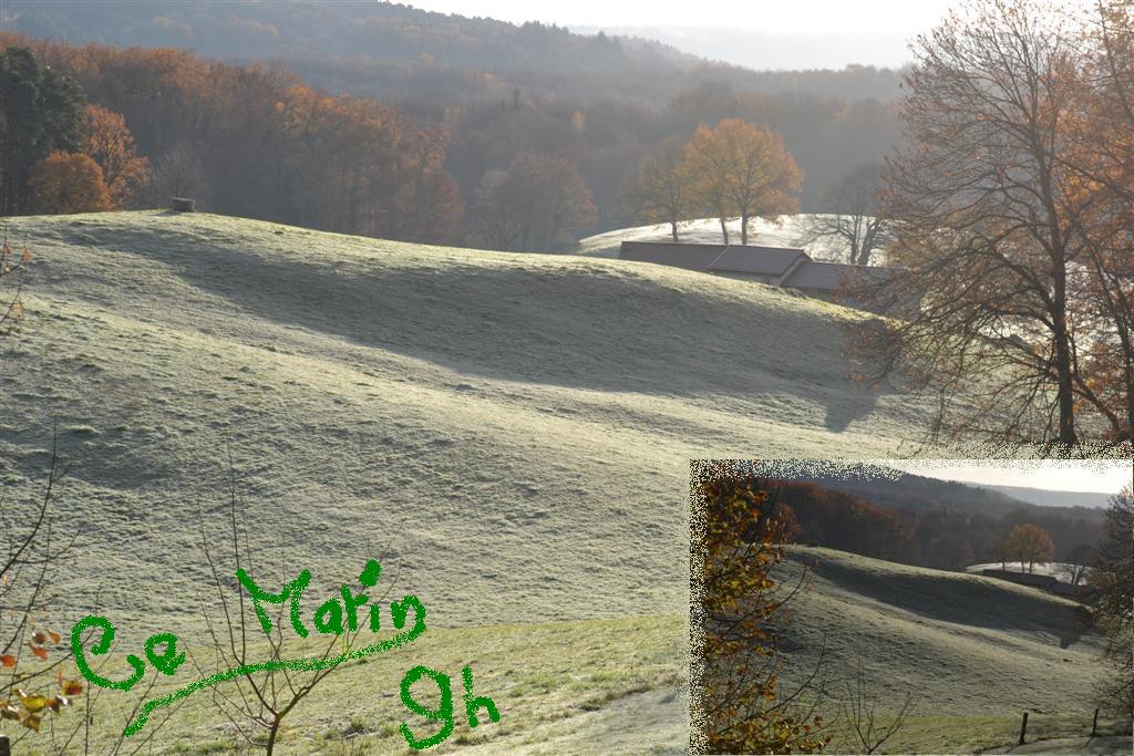 La Minerve 065 (Large).jpg