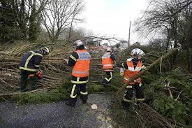 pompiers tronçonneuses.jpg