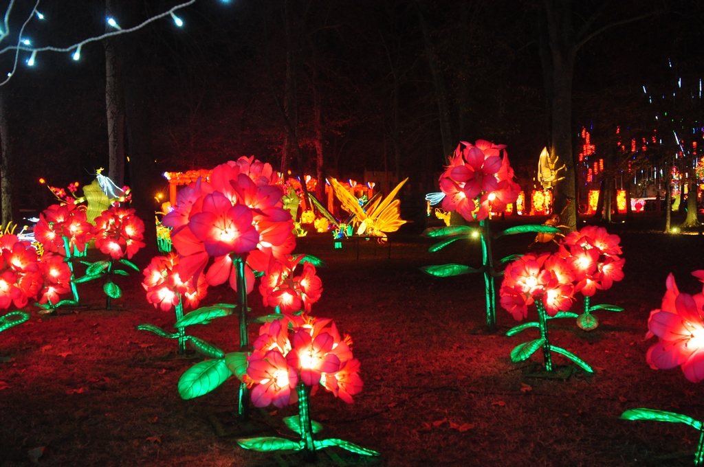 Lanternes chinoises13.JPG