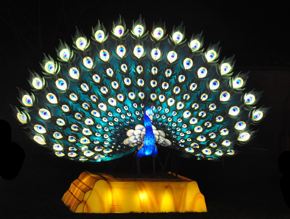 Lanternes chinoises21.JPG