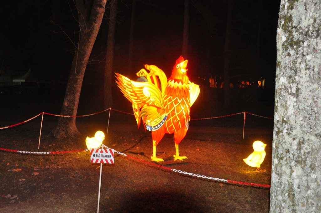 Lanternes chinoises27.JPG