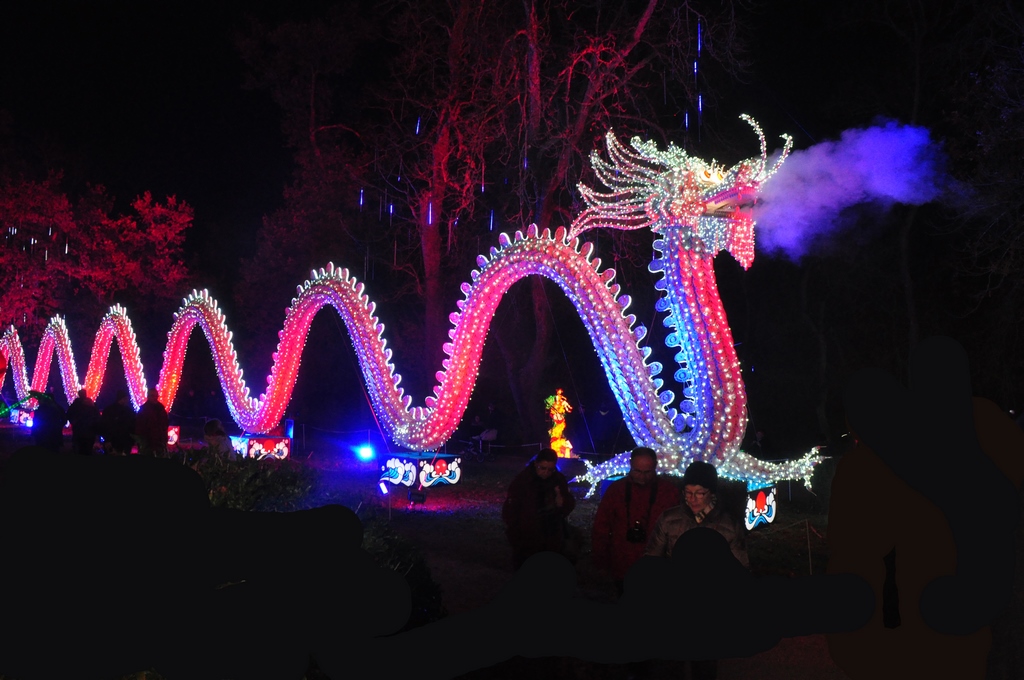 Lanternes chinoises25.JPG