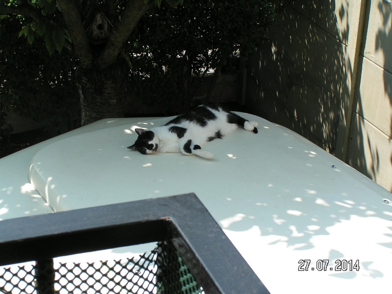 Tempête sur toit Pan Familia.jpg
