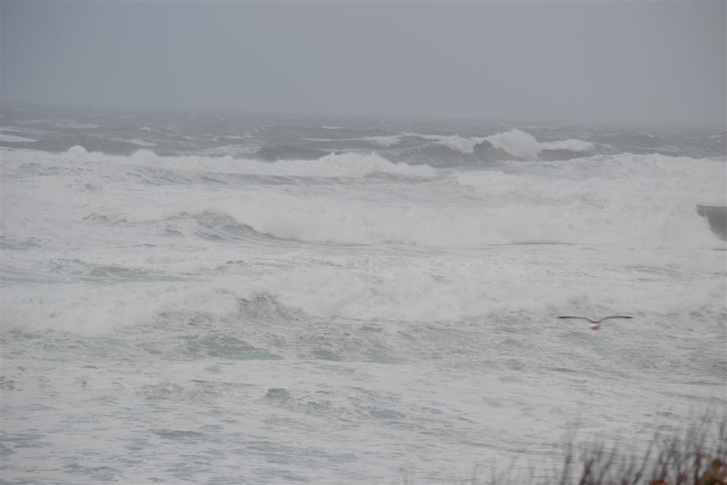 Biscarosse Plage 044 (Large) (Large).jpg