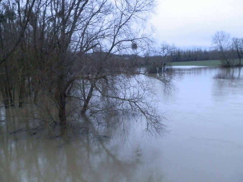 ..... Adieu les cultures riveraines .....