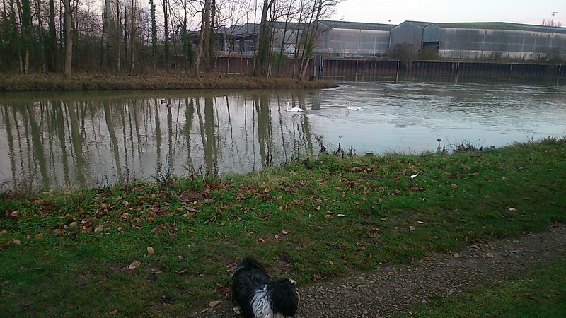 DSC_0030 (Copier).jpg