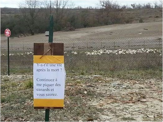 Vie après la mort.jpg