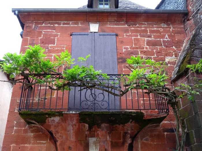 DSC07485 Collonges la Rouge .JPG