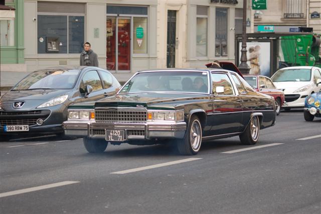 DSC_8324 (Small).JPG
