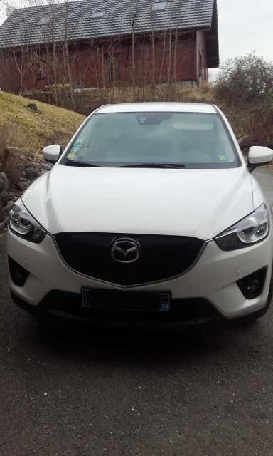 20180221_162159 (384x640).jpg