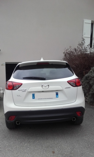 20180221_162218 (384x640).jpg