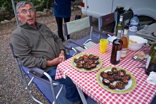 388    les oursins.jpg