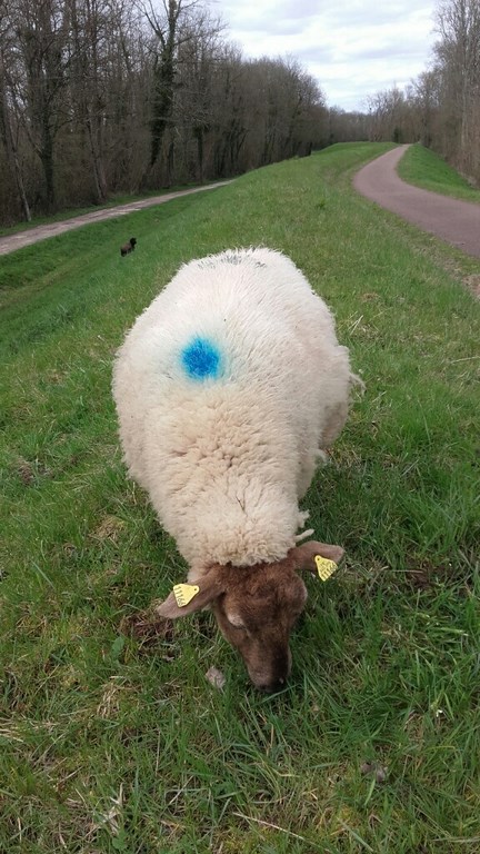 20180405_163625_resized (1) (Copier).jpg