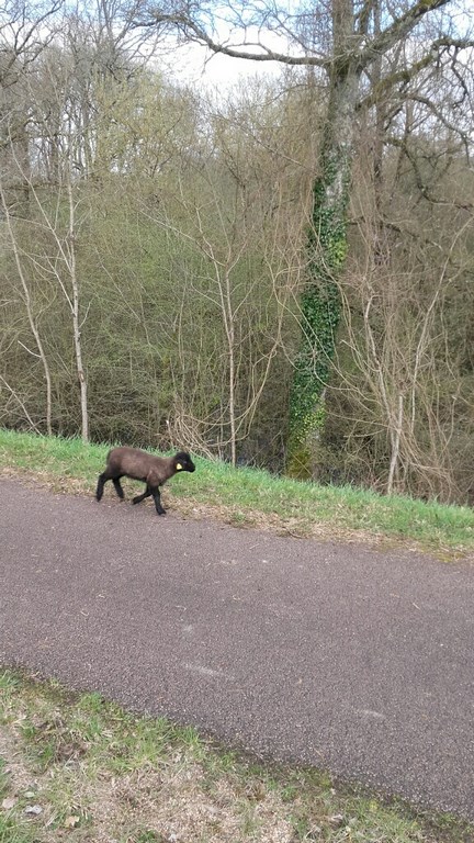 20180405_163637_resized (Copier).jpg