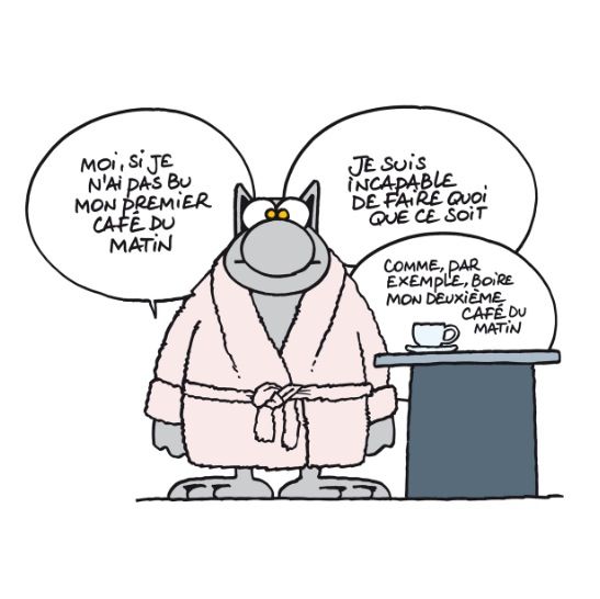 citation-le-chat-de-geluck.jpg