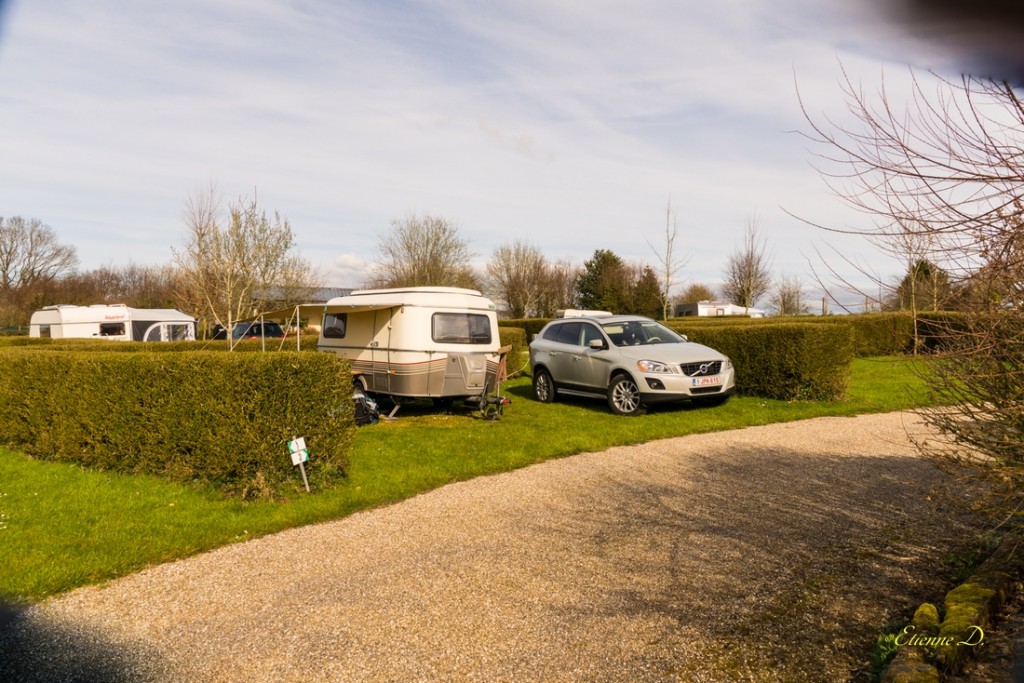 DSC03064.jpg