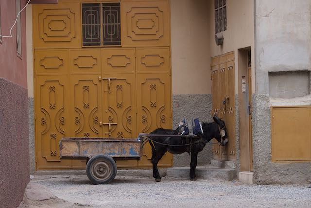 557    Taroudant.jpg