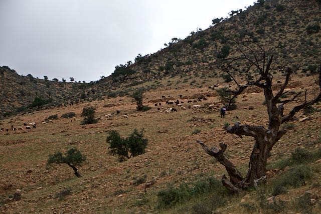 603    Tiznit-Tafraoute.jpg