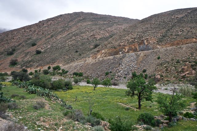 621    Tiznit-Tafraoute.jpg