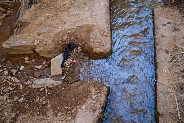 696    Oasis d'Id-Aïssa  (Amtoudi).jpg