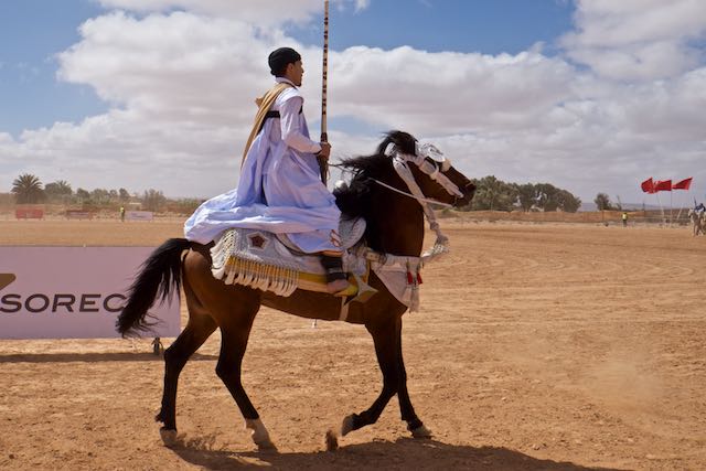 885    Guelmim  (le concours de fantasia).jpg