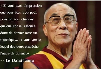 S'agiter du bacal pour rien.jpg