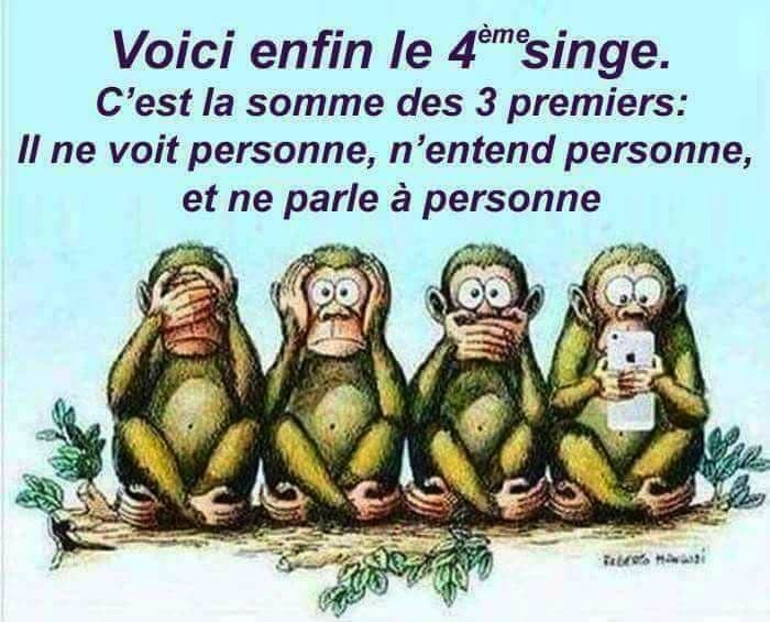 4 petits singes .jpg