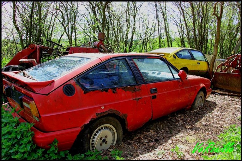 Alfa.jpg