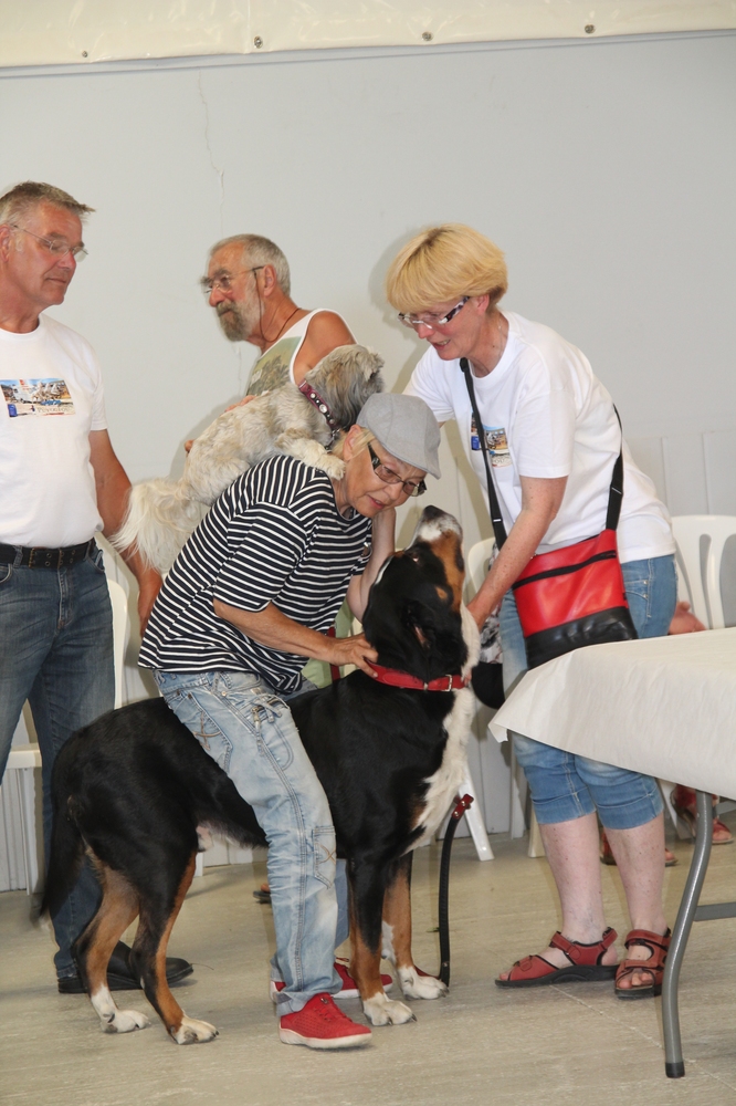 Oscar transformé en cheval de course.