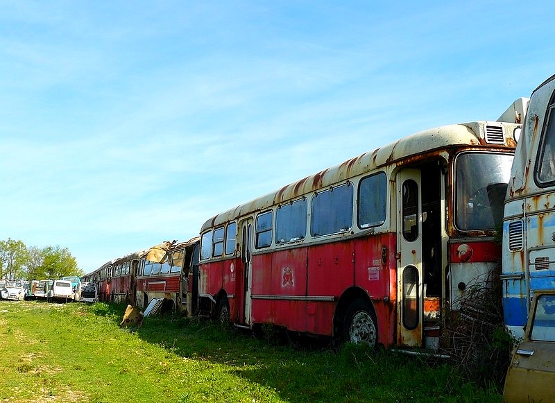 439 .jpg