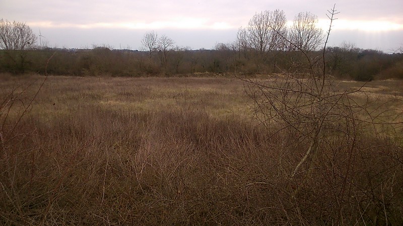 l'emplacement du futur hangar