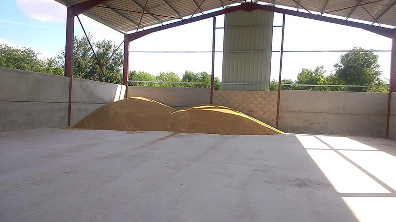 DSC_0373 (Copier).jpg