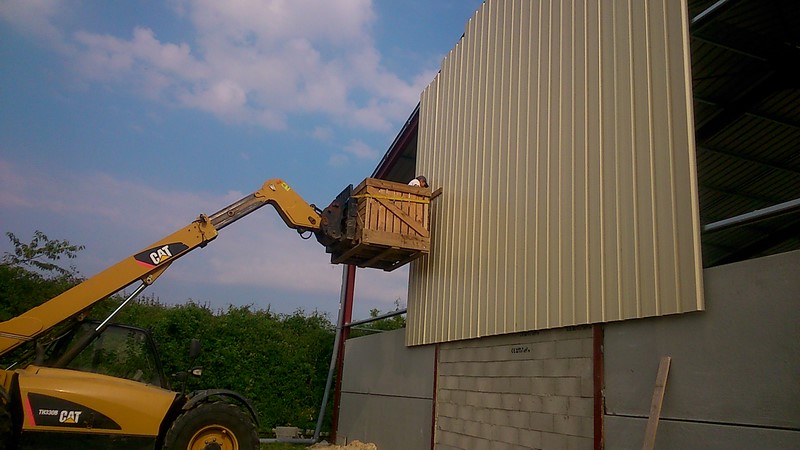 DSC_0374 (Copier).jpg