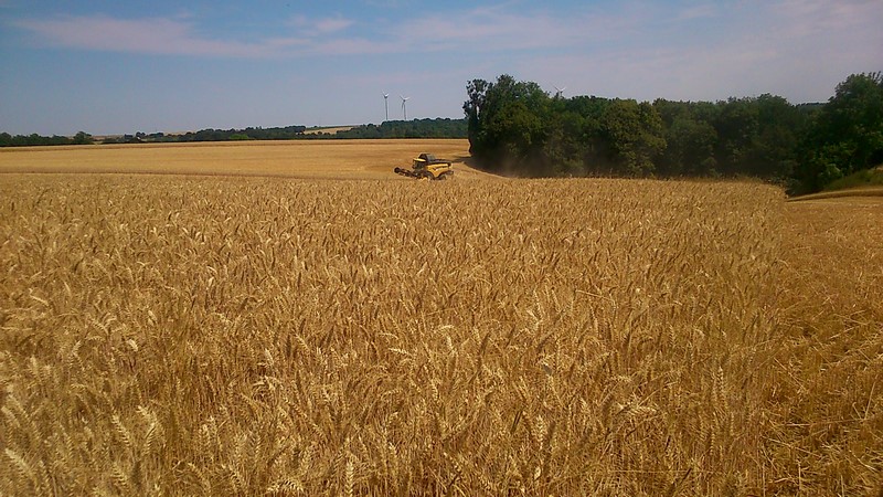 DSC_0344 (Copier).jpg