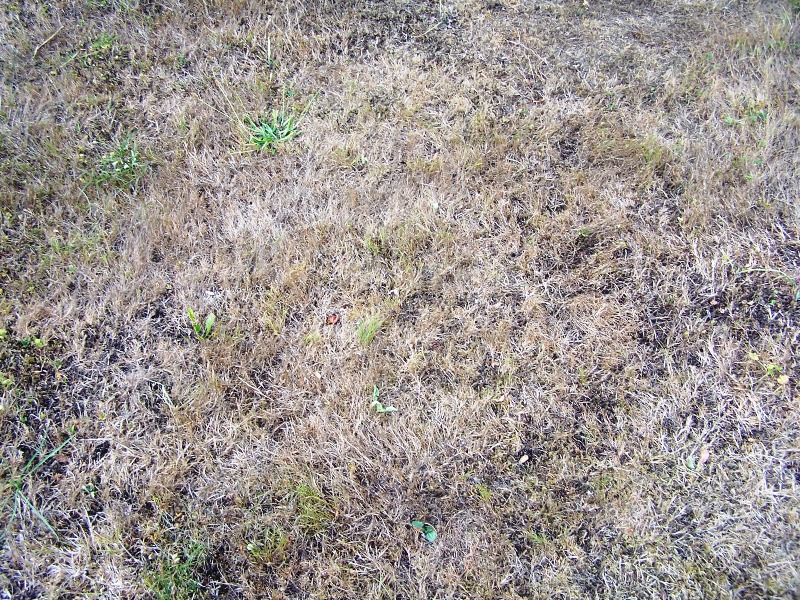 100_6152.JPG
