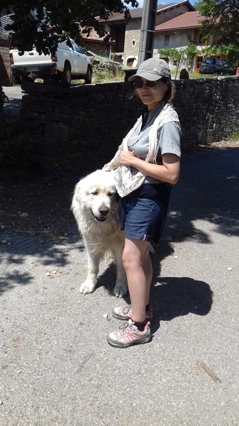 Un Patou a voulu faire notre connaissance, surtout de Nath ! moi.....