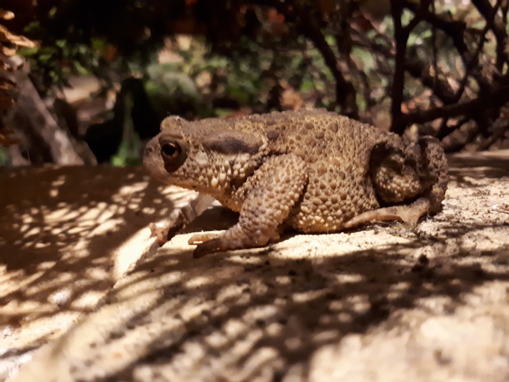 20180704_024839.jpg