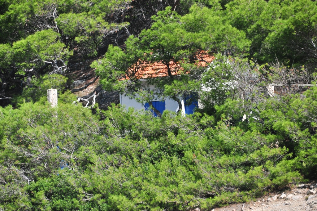 Un joli coin de Paradis