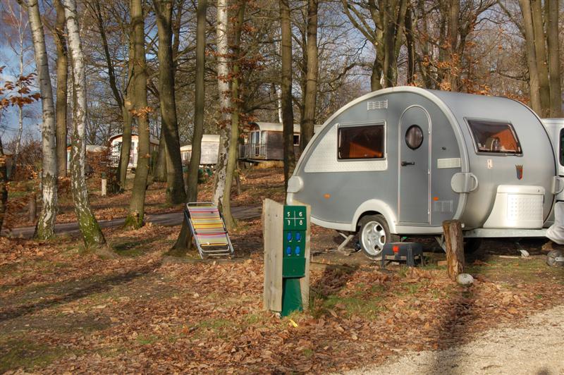 DSC_8712 (Medium).JPG